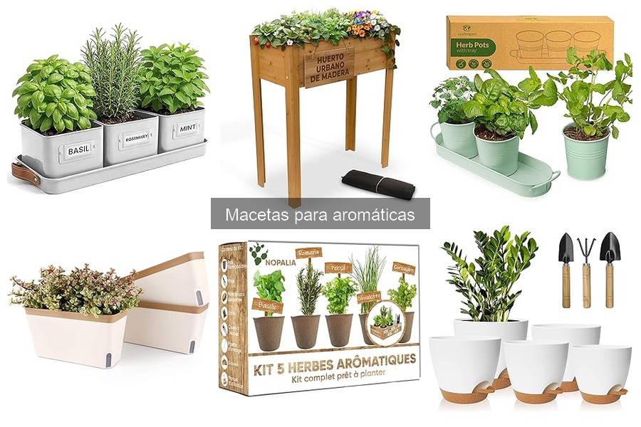 Comparativa de macetas autorriego para plantas aromáticas
