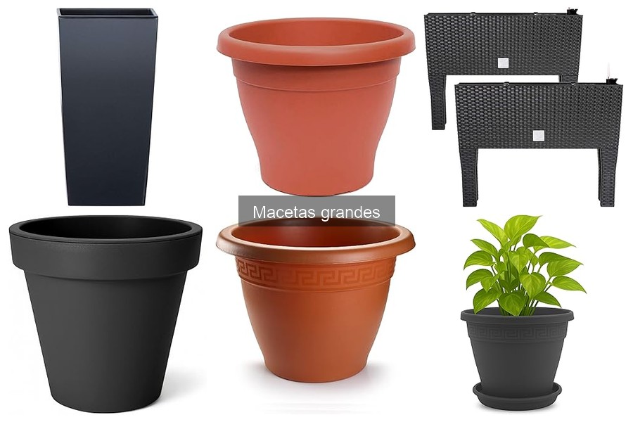 Comparativa de Macetas Grandes: Prosperplast vs. KONZEPT vs. TECHZOCO