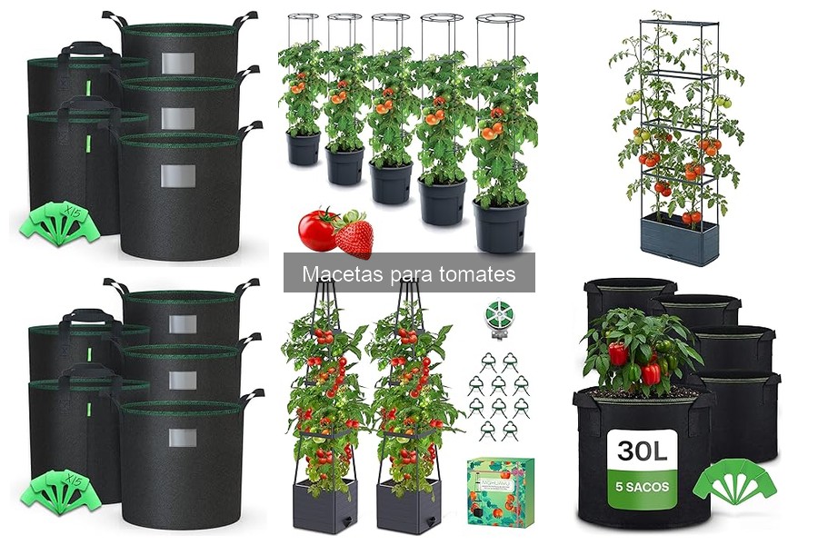 Comparativa de Macetas para Tomates: ¿Cuál Elegir?