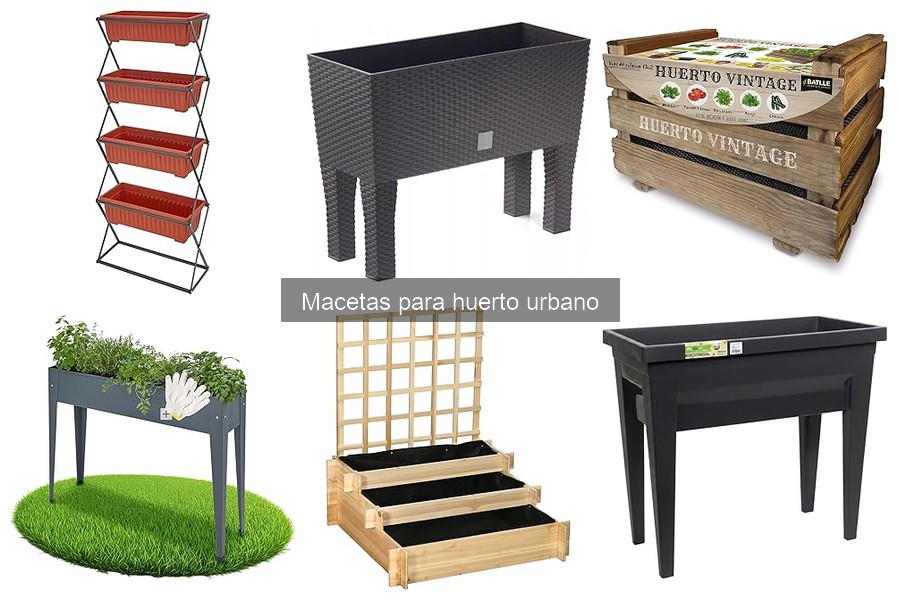 Comparativa de macetas recicladas y tradicionales para huertos