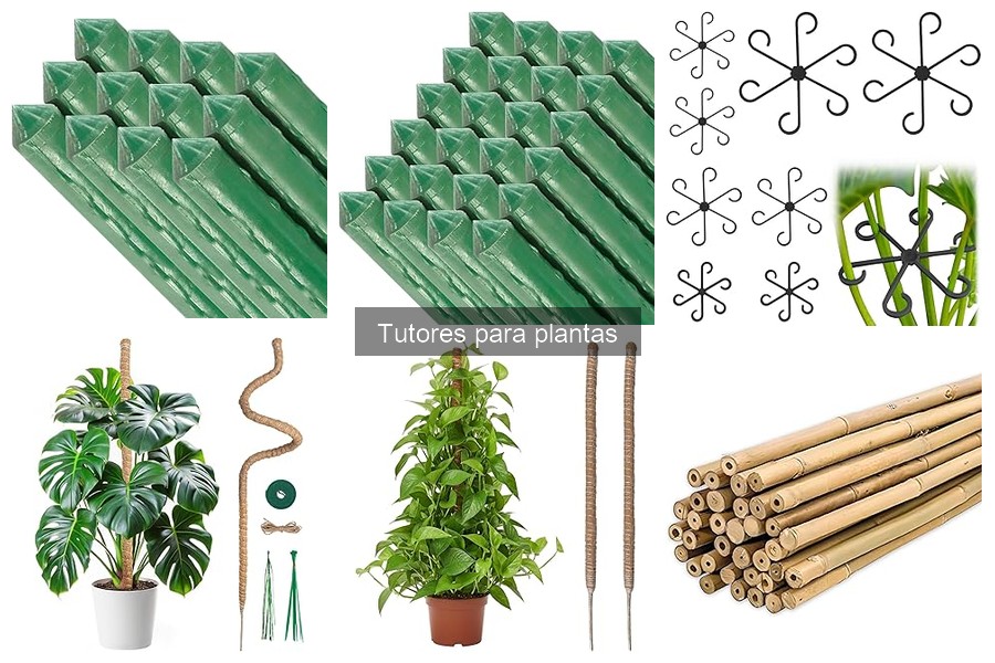 Comparativa de materiales para tutores de plantas: pros y contras