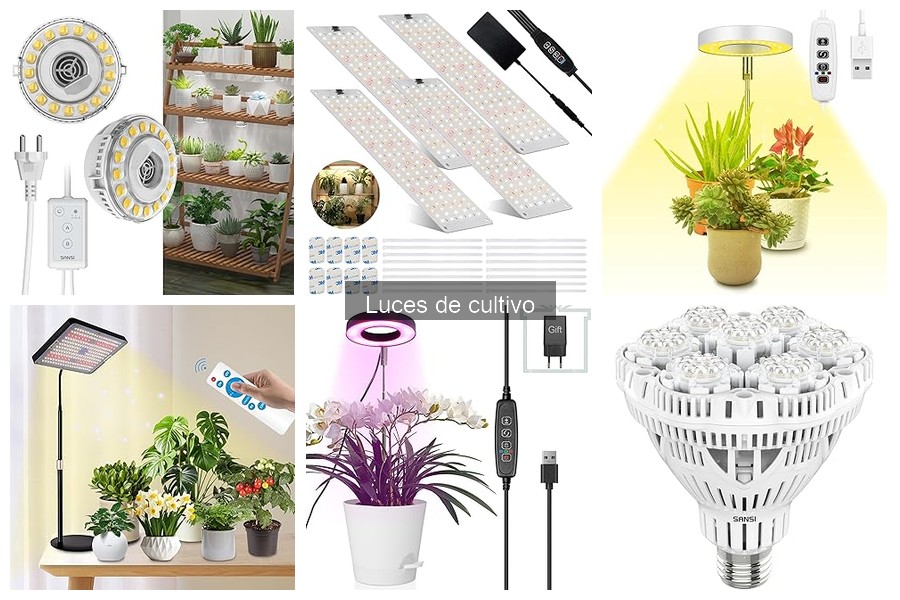 Comparativa de precios de luces de cultivo en Amazon