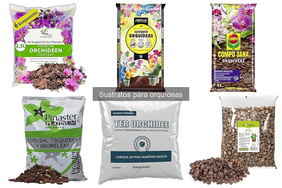 Comparativa de Sustratos Orgánicos e Inorgánicos para Orquídeas