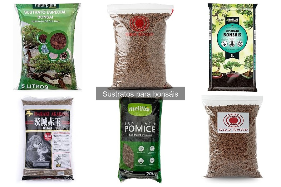 Comparativa de sustratos para bonsáis: Akadama vs. Pómez