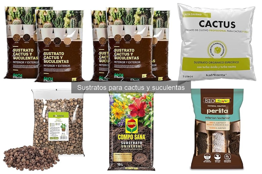 Comparativa de Sustratos para Cactus: Mejores Marcas 2023