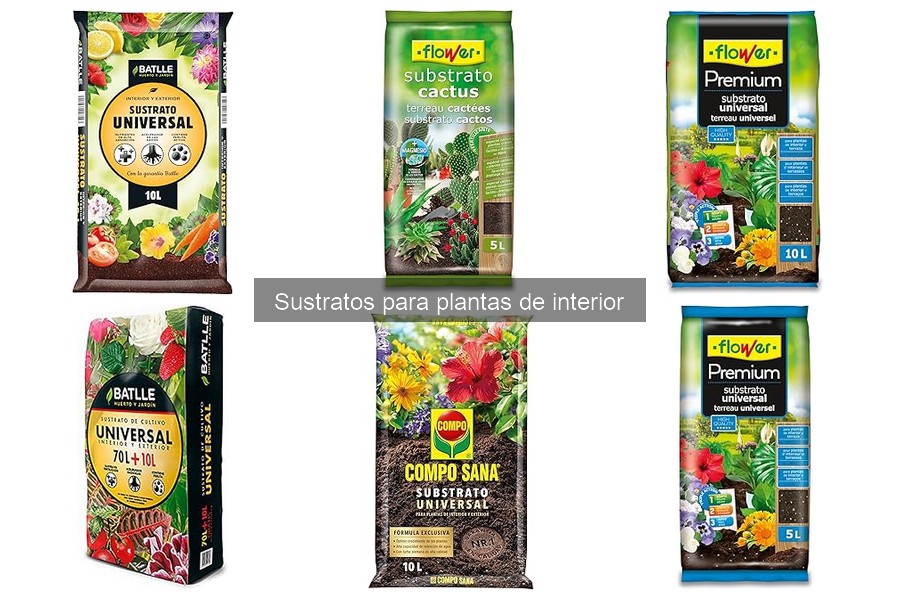 Comparativa de sustratos para plantas de interior: calidad y precio