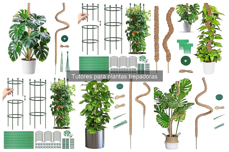 Comparativa de Tutores de Madera y Metal para Plantas Trepadoras