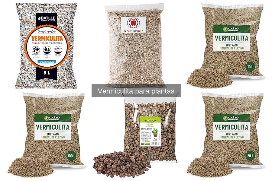 Comparativa de Vermiculita y Otros Sustratos para Plantas