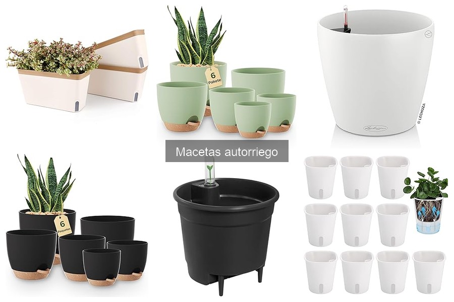 Comparativa: Macetas Autorriego vs. Macetas Tradicionales