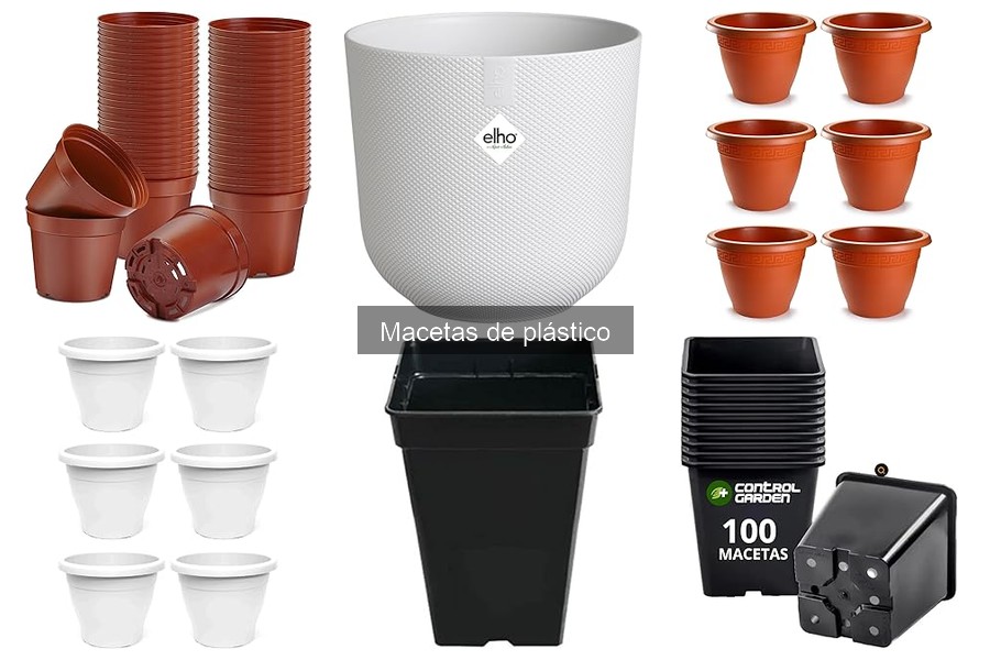 Comparativa: Macetas de Plástico vs Cerámica para Jardinería