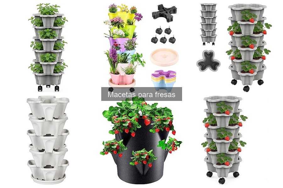 Comparativa: Macetas para fresas vs. Cultivo en jardín