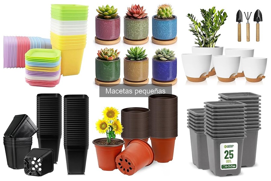 Comparativa: Macetas pequeñas de plástico vs cerámica