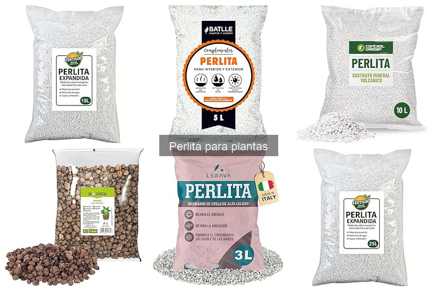 Comparativa: Perlita vs Otros Sustratos para Cultivar