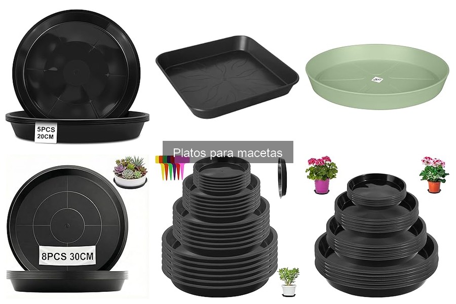 Comparativa: Platos de plástico vs cerámica para macetas