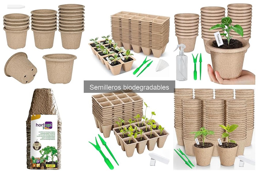 Comparativa: Semilleros biodegradables vs. plásticos