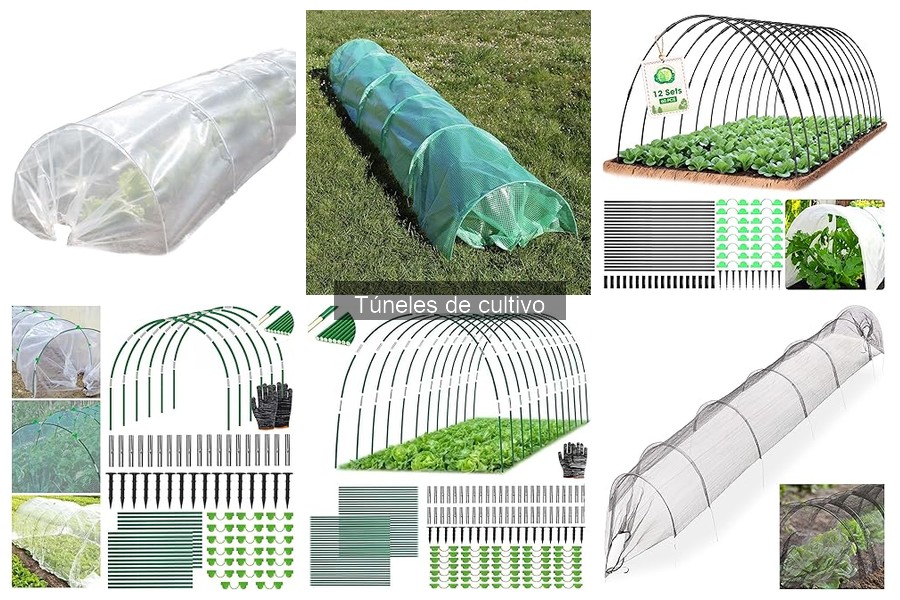 Comprar túneles de cultivo: precios y mejores ofertas