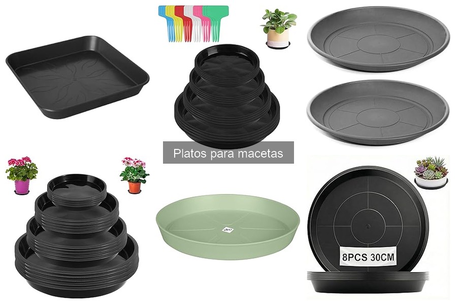 Consecuencias de No Usar Platos para Macetas en Jardinería