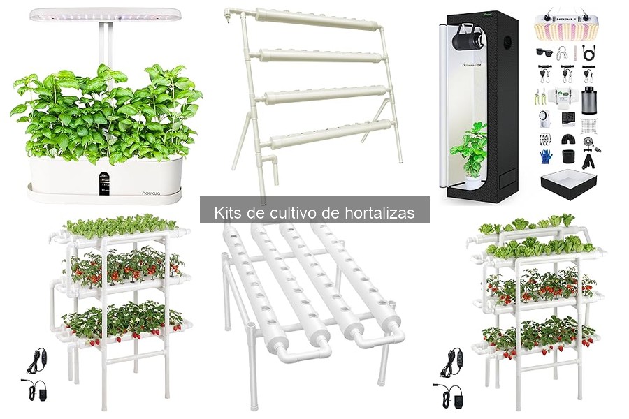 Consejos para Cultivar Hortalizas con Kits Efectivamente