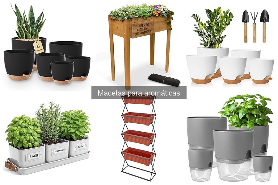 Consejos para Hacer Macetas Caseras para Aromáticas