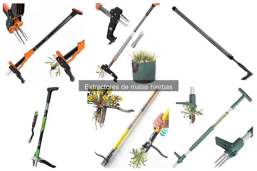 Consejos para Mantener tu Extractor de Malas Hierbas en Buen Estado
