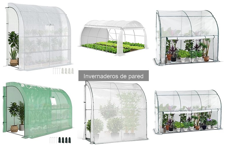 Costos promedio de invernaderos de pared para tu jardín