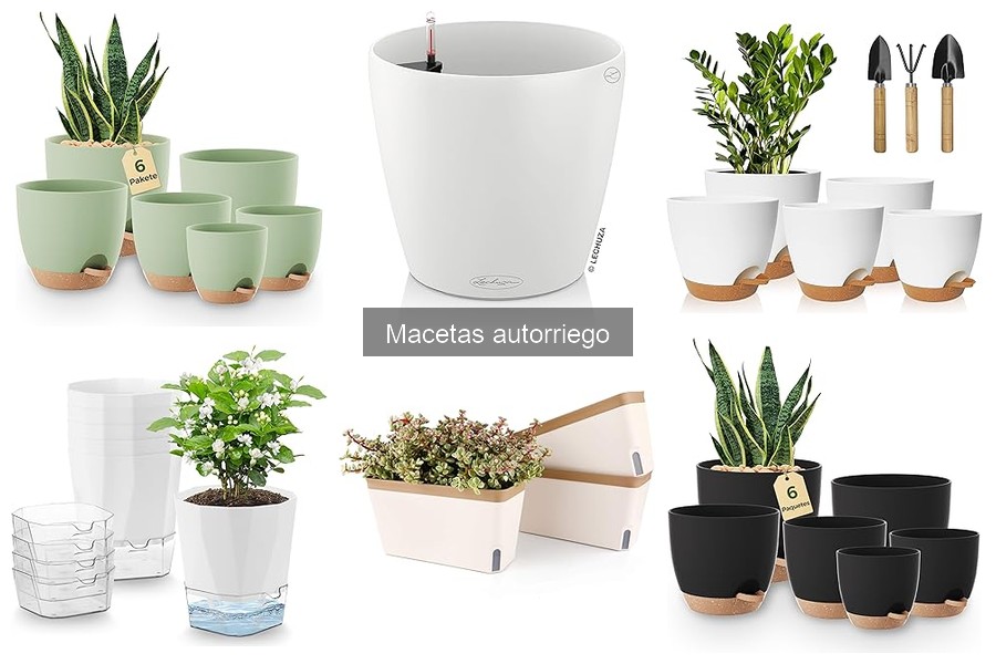 ¿Cuál es la mejor maceta autorriego para interiores?