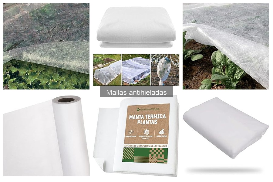 ¿Cuándo usar mallas antihieladas para tus plantas?