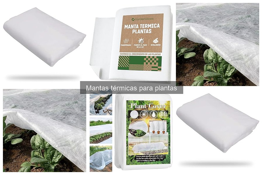 ¿Cuándo usar mantas térmicas para plantas? Guía útil