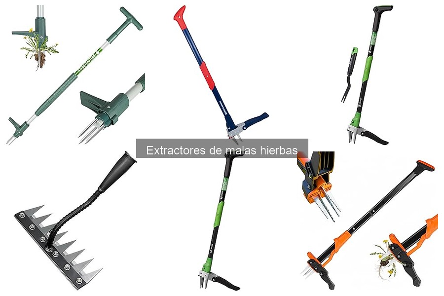 ¿Cuándo usar un extractor de malas hierbas? Guía práctica