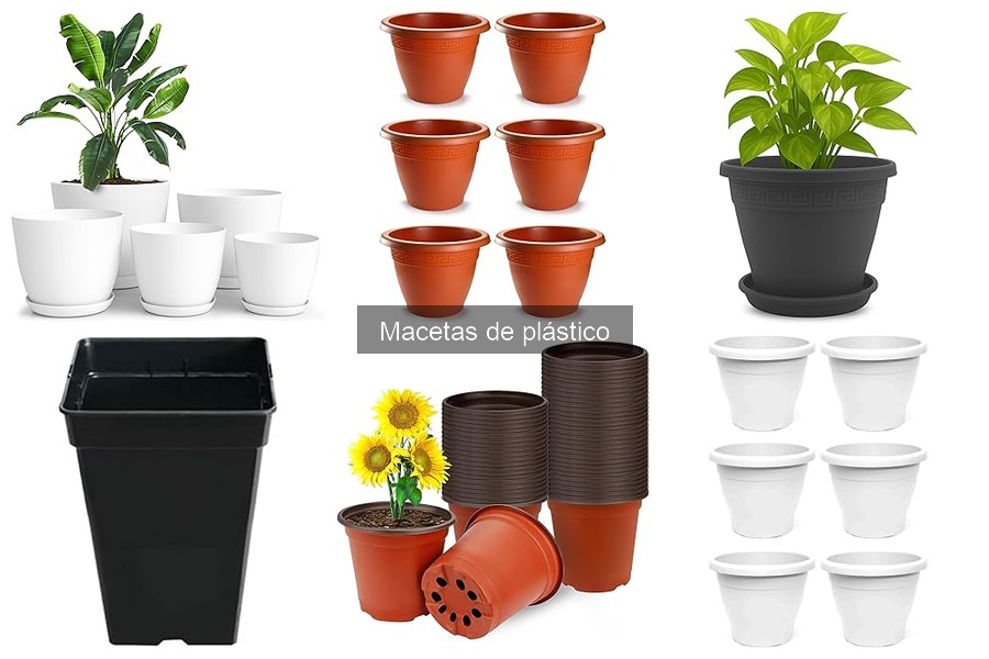 ¿Cuántas plantas caben en una maceta de plástico?