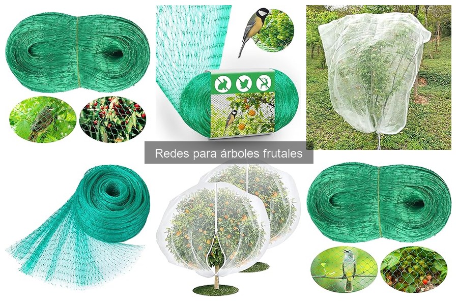 ¿Cuánto duran las redes para árboles frutales? Guía completa