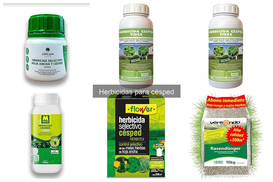 ¿Cuánto tarda en hacer efecto un herbicida para césped?