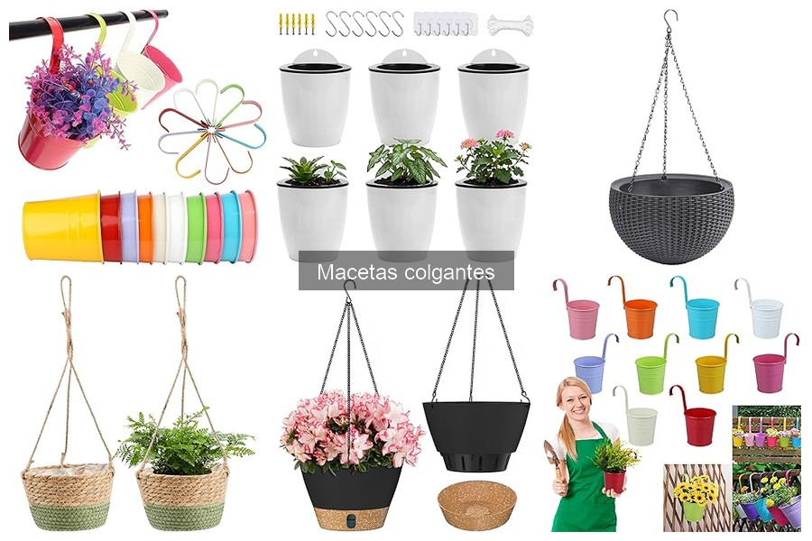 Cuidado de Macetas Colgantes: Consejos y Mantenimiento