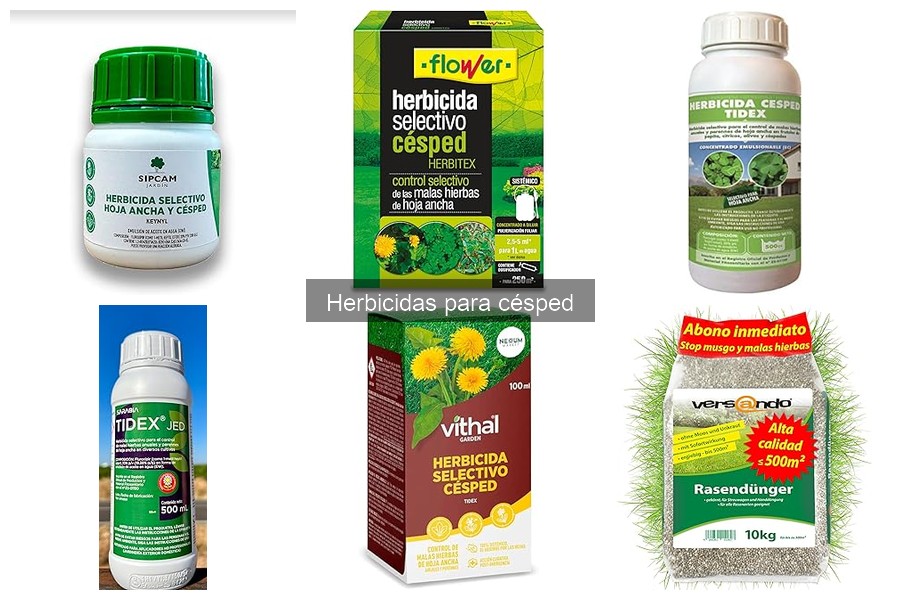 Cuidados esenciales tras aplicar herbicidas en el césped