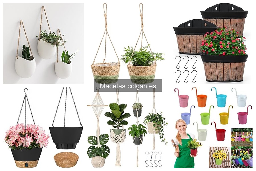 Decora tu hogar con macetas colgantes: consejos y diseño