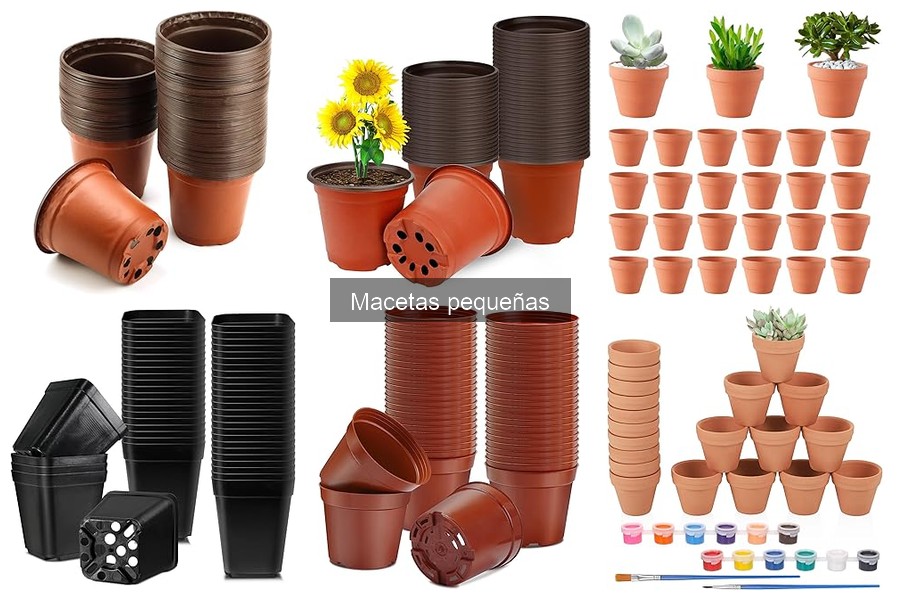Decoración con Macetas Pequeñas: Ideas y Tips Creativos