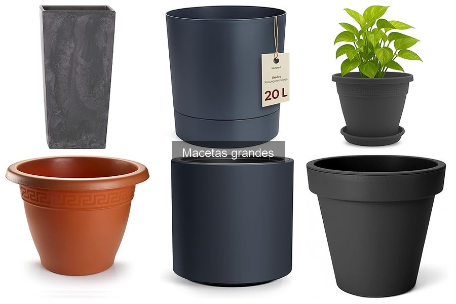 Decorar tu jardín con macetas grandes: Ideas creativas