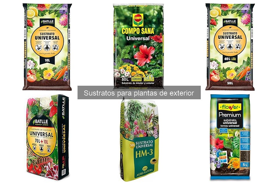 Descubre los Mejores Tipos de Sustratos para Plantas de Exterior