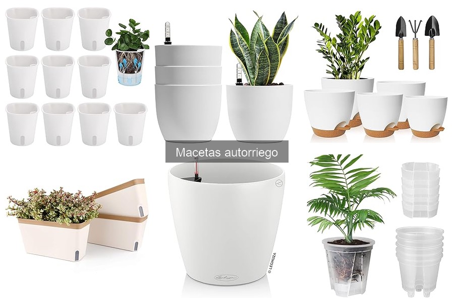 Descubre qué son las macetas autorriego y sus beneficios