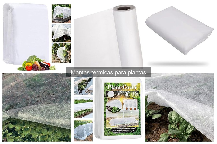 Desmentimos los mitos sobre mantas térmicas para plantas