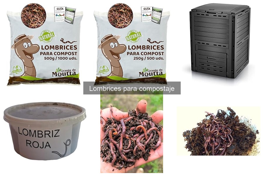 Desmontando mitos sobre las lombrices de compostaje