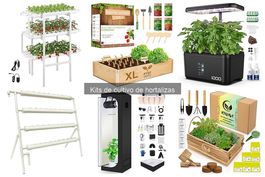 Desventajas de los Kits de Cultivo de Hortalizas en Casa