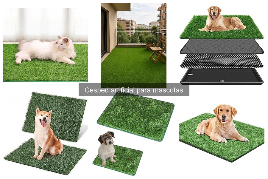 Dónde comprar césped artificial para mascotas al mejor precio