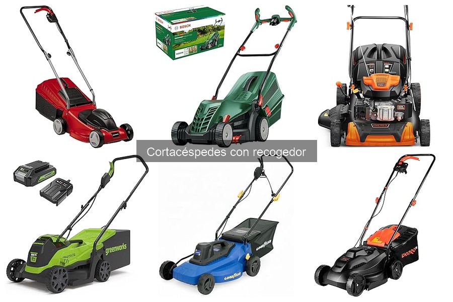 Dónde comprar cortacéspedes con recogedor y precios