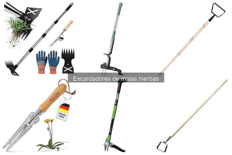 Dónde comprar escardadores de malas hierbas: guía completa