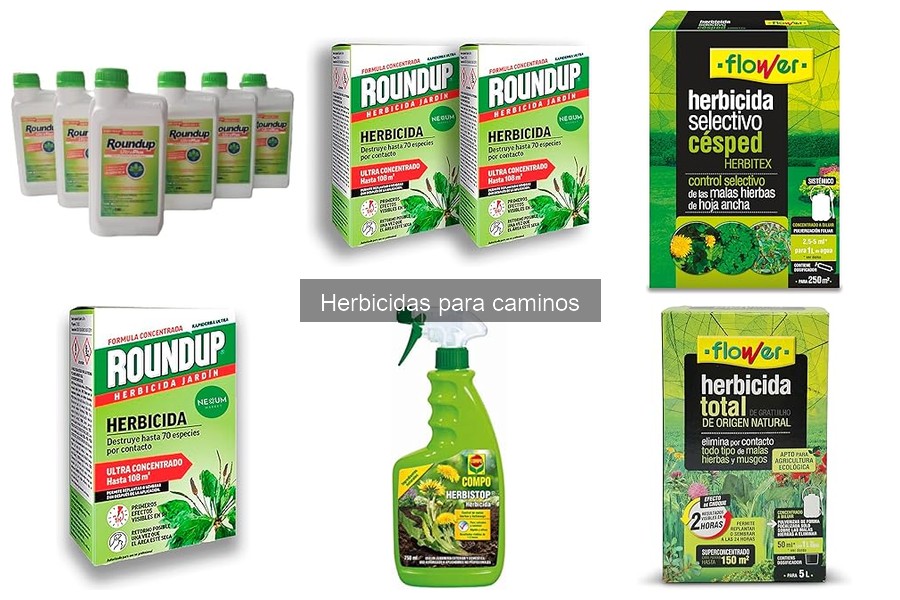 Dónde comprar herbicidas para caminos: precios y disponibilidad