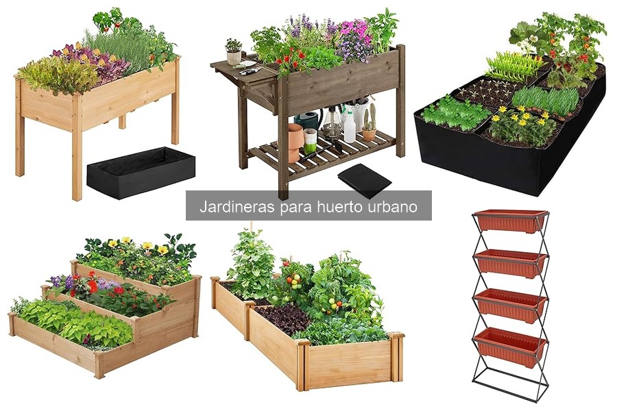 Dónde comprar jardineras para huerto urbano: mejores opciones