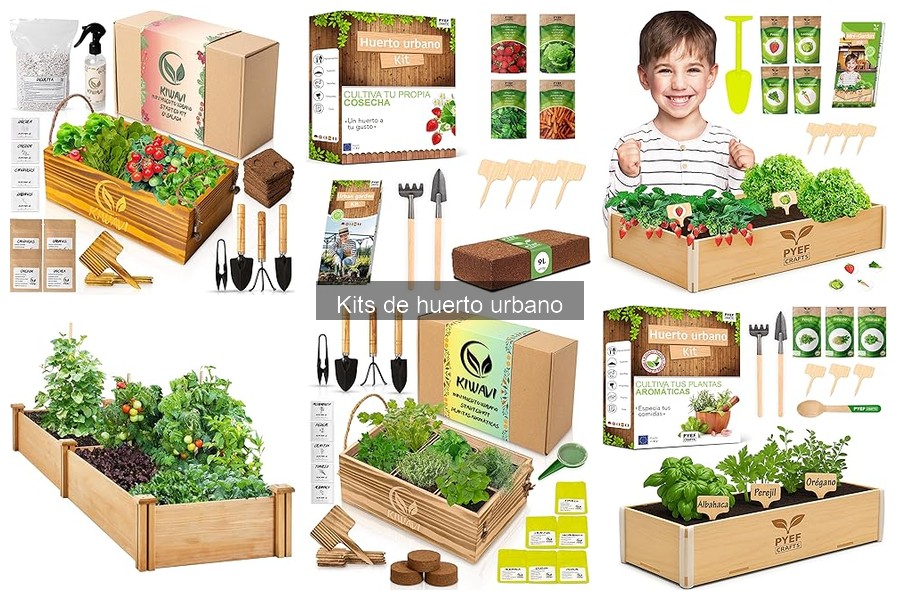 Dónde comprar kits de huerto urbano en oferta