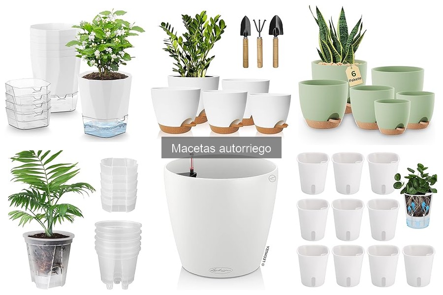 Dónde comprar macetas autorriego a buen precio