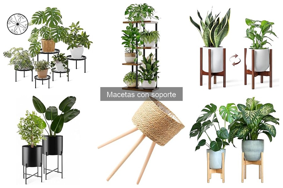 Dónde comprar macetas con soporte: Guía y recomendaciones